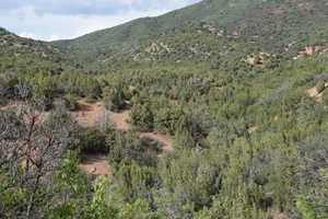 View of mountain feature featuring a view of trees