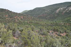 View of mountain feature featuring a wooded view