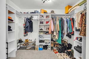 Master Walk in closet featuring carpet