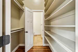 Spacious closet featuring wood finished floors