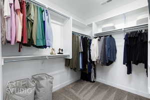 Walk in closet featuring visible vents and carpet floors