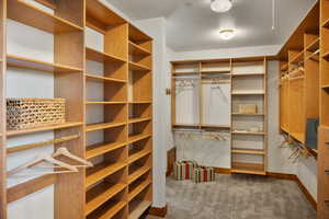 Walk in closet with carpet