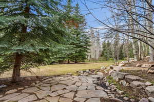 Photo 87 of 2685  DAYSTAR CIR