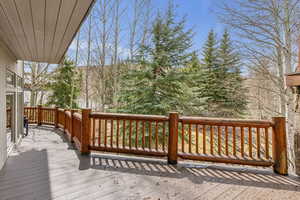 Living Room Balcony