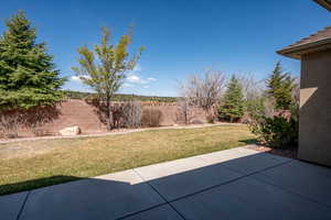 View of yard featuring fence and a patio area