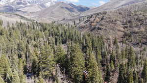 Property view of mountains featuring a forest view