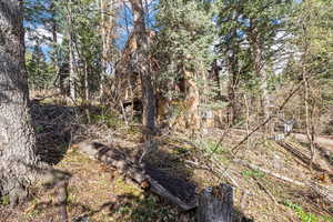 View of nature