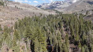 View of mountain feature with a wooded view