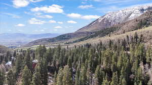 Property view of mountains with a view of trees