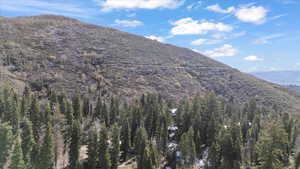 Mountain view featuring a view of trees
