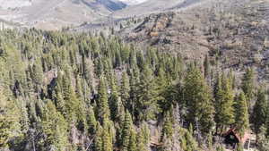 View of mountain feature with a forest view