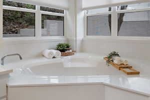 Master bathroom featuring a bath