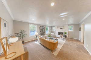Living area with crown molding, a textured ceiling, light colored carpet, and baseboards