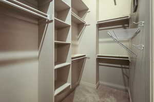 Spacious closet with carpet