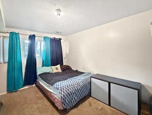 Carpeted bedroom with a textured ceiling and visible vents