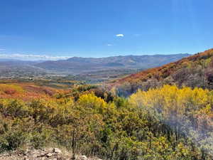 Property view of mountains with a view of trees