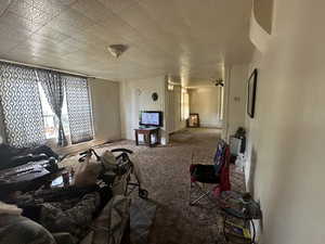Living room with carpet