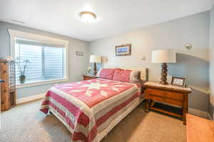Bedroom with carpet floors, baseboards, and visible vents