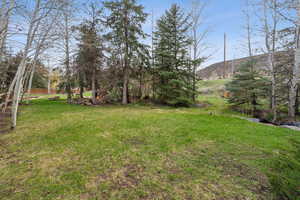View of yard with a mountain view