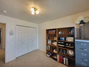 Interior space with a textured ceiling, light carpet, baseboards, and a closet