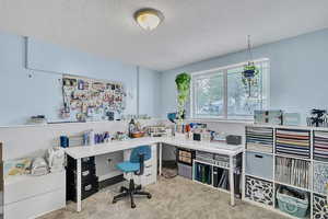 Carpeted home office with a textured ceiling