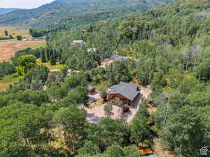 Bird's eye view featuring a mountain view and a forest view