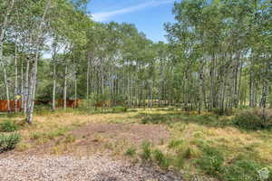 View of nature with a forest view