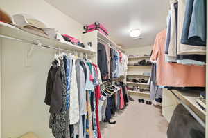 Spacious closet with visible vents and carpet