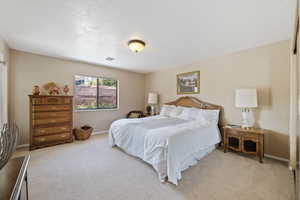 Bedroom featuring a textured ceiling, baseboards, visible vents, and light carpet