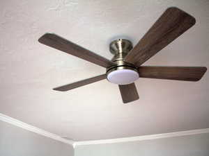 White door unit 2 living room with ceiling fan and crown molding.
