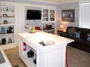 Kitchen and Living Room of 1-bed Red Door unit with sleeper sofa.  Unit comes with everything you see in the photo.
