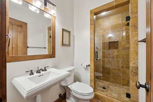 Full bathroom featuring a sink, toilet, and a shower stall