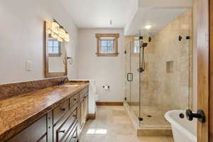 Full bathroom featuring a shower stall, a wealth of natural light, and vanity