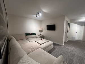 Carpeted living room with baseboards, visible vents, and rail lighting