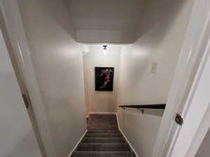 Stairs with baseboards and carpet