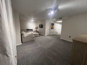 Living area with visible vents, carpet flooring, and a textured ceiling