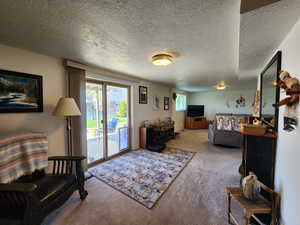 Carpeted living room featuring a textured ceiling