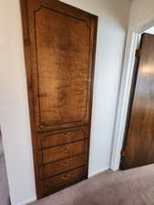 Details with baseboards and carpet flooring