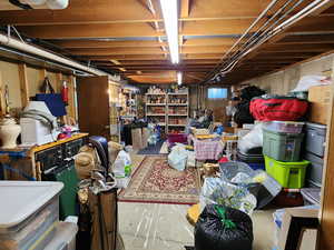 View of unfinished basement