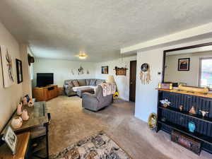 Living room featuring carpet and a textured ceiling