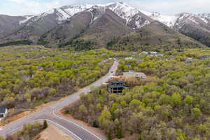 Property view of mountains with a wooded view