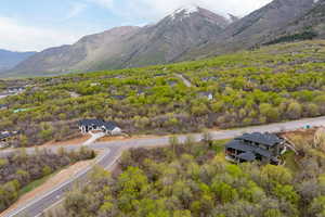 Birds eye view of property with a mountain view