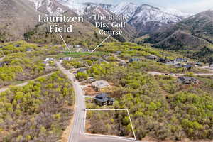 Drone / aerial view with a mountain view