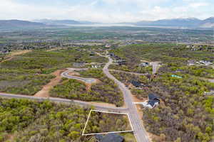 Birds eye view of property with a mountain view