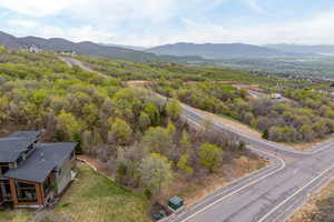 Aerial view with a mountain view