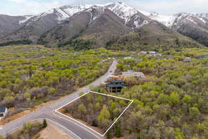 Property view of mountains featuring a forest view