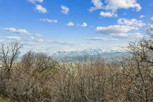 View of mountain feature