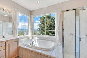 Full bathroom featuring plenty of natural light, a whirlpool tub, and a stall shower