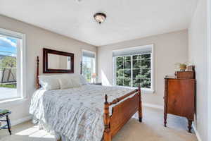 Bedroom featuring baseboards and light carpet