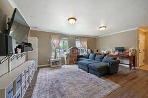 Living area featuring baseboards, ornamental molding, dark wood-style flooring, and a textured ceiling